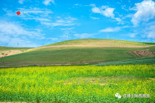 做好这十个主题,榆林旅游冲出陕西,走向全国,影响世界 靖边 府谷 米脂 网易订阅